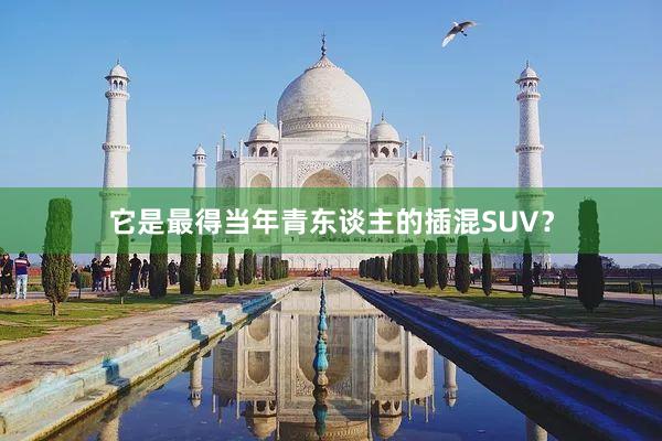 它是最得当年青东谈主的插混SUV？