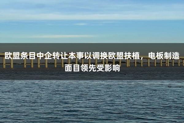 欧盟条目中企转让本事以调换欧盟扶植，电板制造面目领先受影响