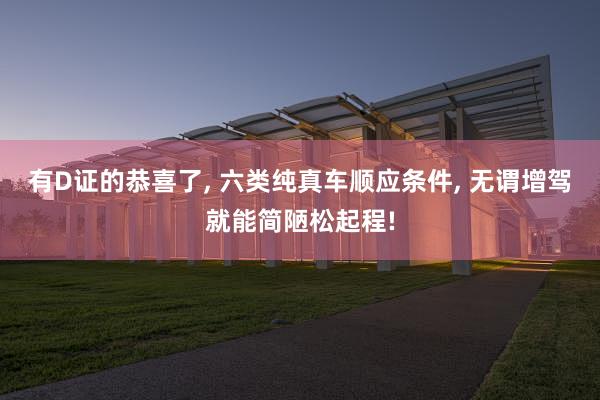 有D证的恭喜了, 六类纯真车顺应条件, 无谓增驾就能简陋松起程!