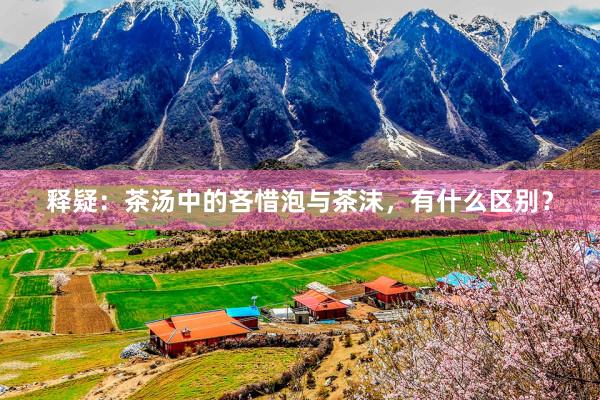 释疑：茶汤中的吝惜泡与茶沫，有什么区别？